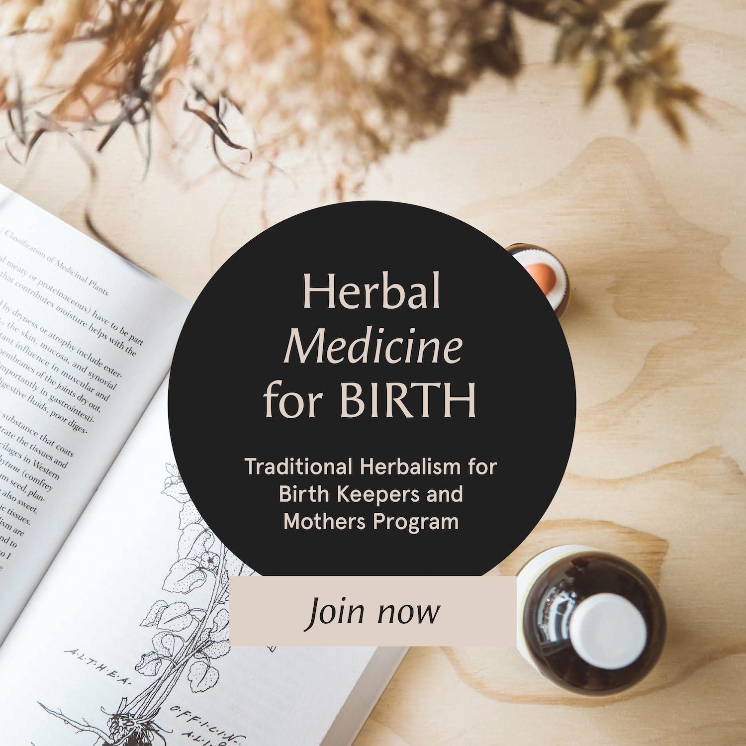 Herbal-Medicine-Birth-Graphics