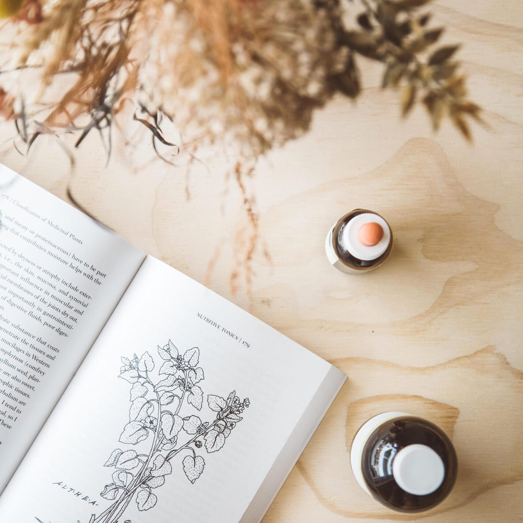Motherhood Medicine - A 6 week group apprenticeship program on herbal medicine for pregnancy, birth and postpartum